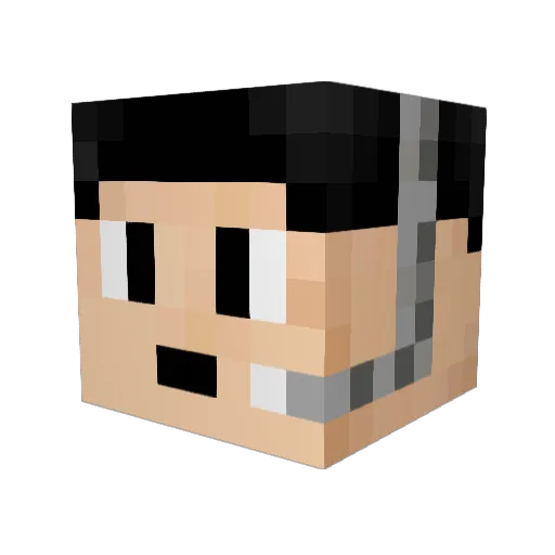 AppleJacks69 Minecraft avatar head, 3D render