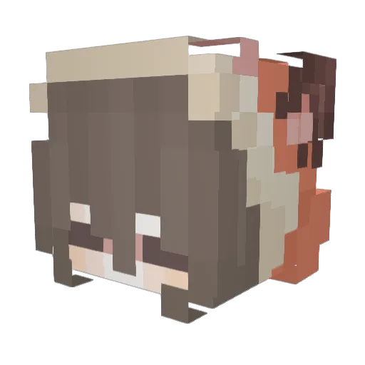 AppleJucie360 Minecraft avatar head, 3D render