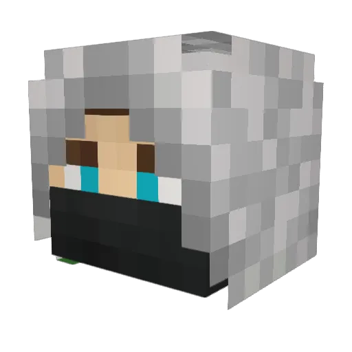 AppleJuice4l1f3 Minecraft avatar head, 3D render