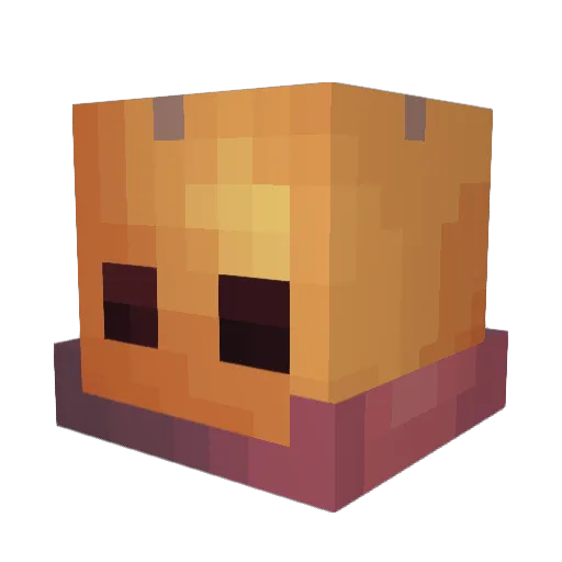 AppleOfThePine11 Minecraft avatar head, 3D render
