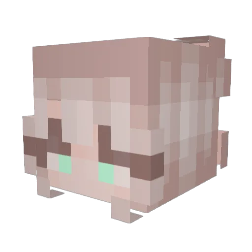 ApplePie86 Minecraft avatar head, 3D render