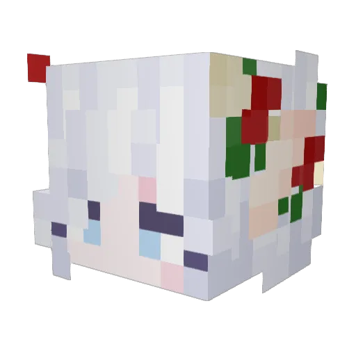 ApplePies4Life Minecraft avatar head, 3D render