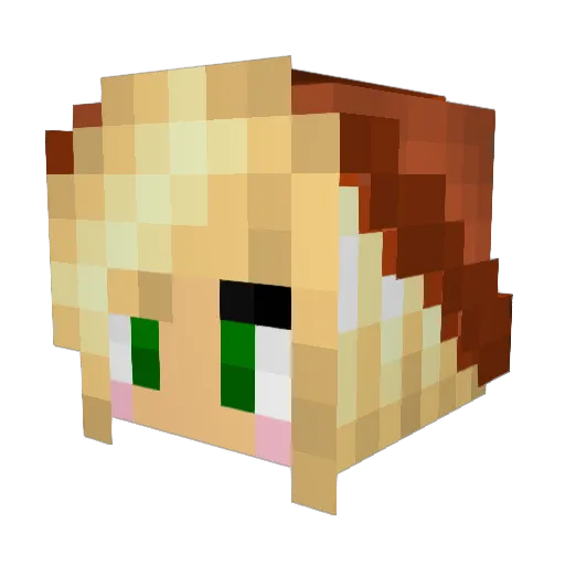 AppleSauce256 Minecraft avatar head, 3D render