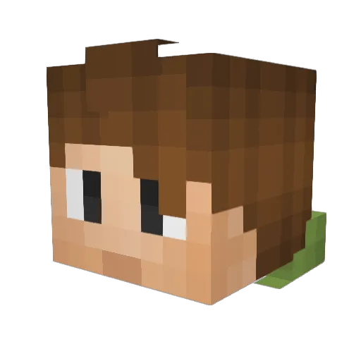 AppleSauce_A Minecraft avatar head, 3D render
