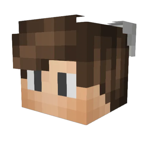 AppleScruff909 Minecraft avatar head, 3D render