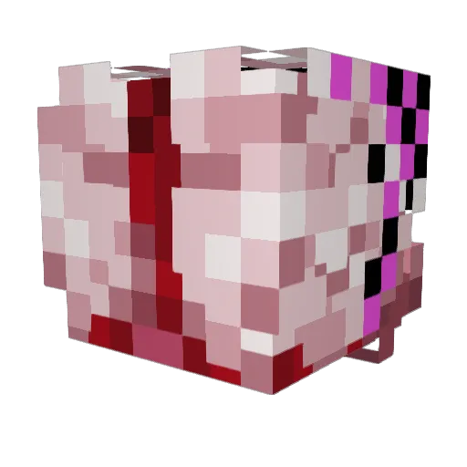 Apple_bees_ Minecraft avatar head, 3D render