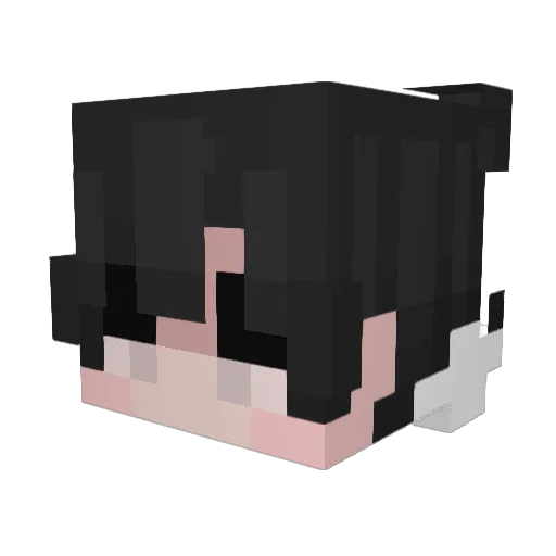 Appleburrin Minecraft avatar head, 3D render