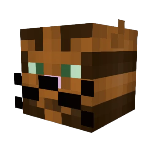 Applecat2000 Minecraft avatar head, 3D render
