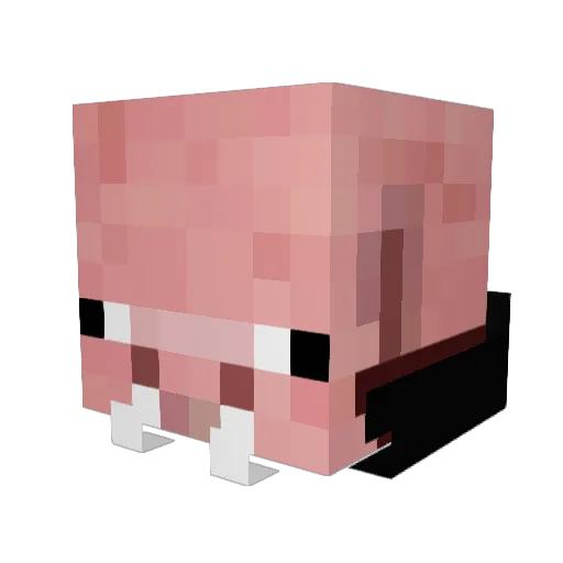 Appleek12 Minecraft avatar head, 3D render