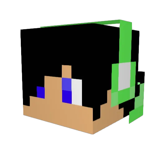 Applenerd123 Minecraft avatar head, 3D render