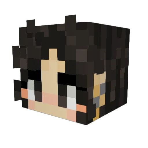ApplepiKenma Minecraft avatar head, 3D render