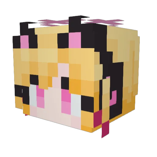 Applepie21_ Minecraft avatar head, 3D render