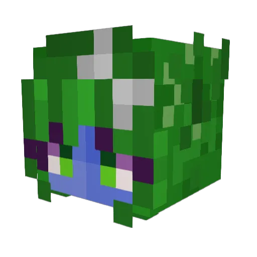 Appleseedfam Minecraft avatar head, 3D render