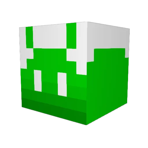 Applesiin Minecraft avatar head, 3D render