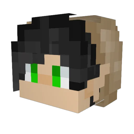 Applie_birdy Minecraft avatar head, 3D render