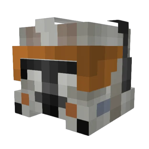 AppliedDeception Minecraft avatar head, 3D render