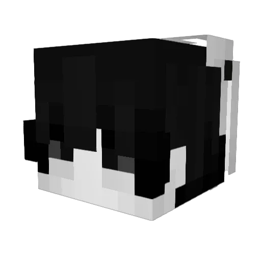 Applw7 Minecraft avatar head, 3D render