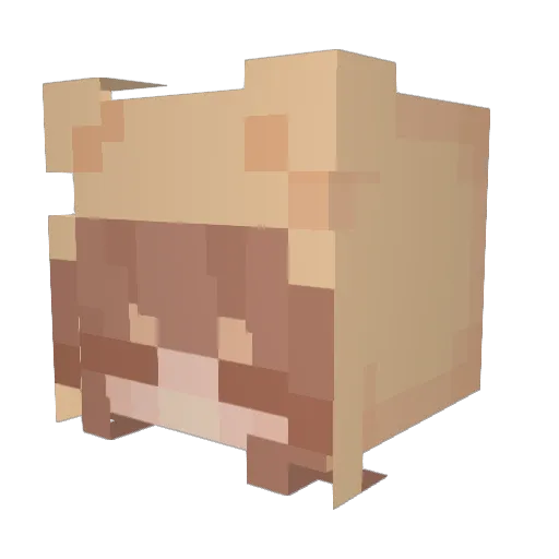 Appwles Minecraft avatar head, 3D render