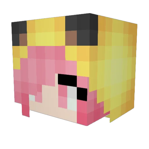 AppyBane Minecraft avatar head, 3D render