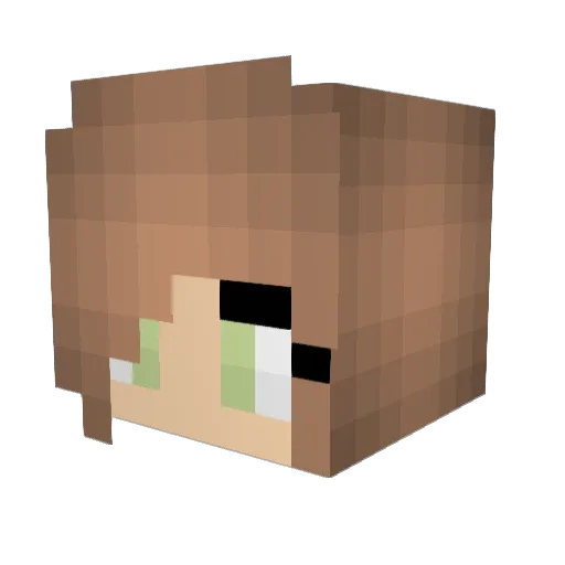 AprilSwamp Minecraft avatar head, 3D render