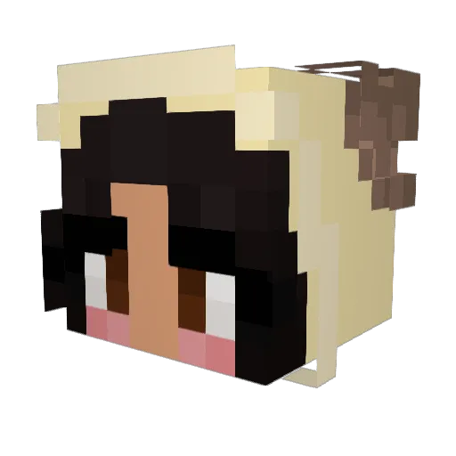 Aprildawgg Minecraft avatar head, 3D render