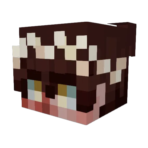 Aprils_ Minecraft avatar head, 3D render