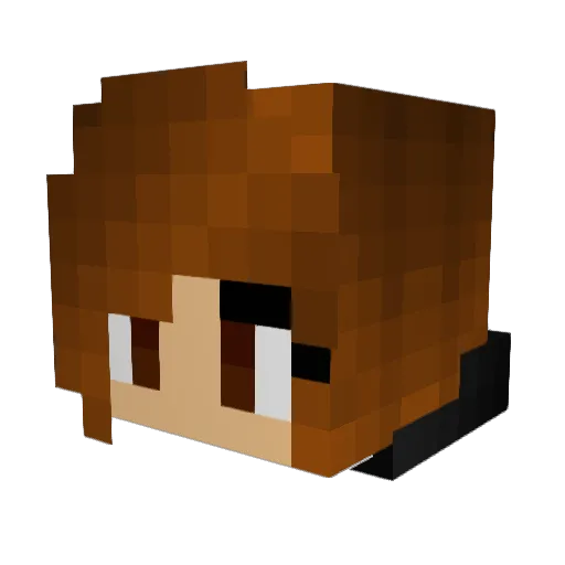 Apteryx1 Minecraft avatar head, 3D render