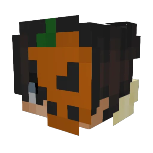 AqaTomi Minecraft avatar head, 3D render