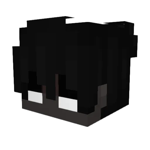 Aqarius0201 Minecraft avatar head, 3D render