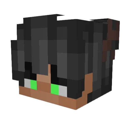Aqdn Minecraft avatar head, 3D render