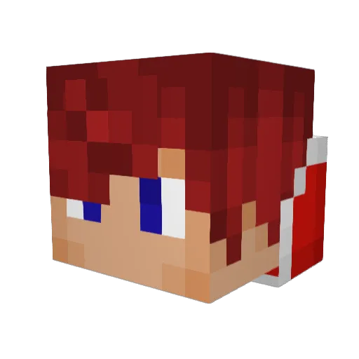 AqilDaeli Minecraft avatar head, 3D render