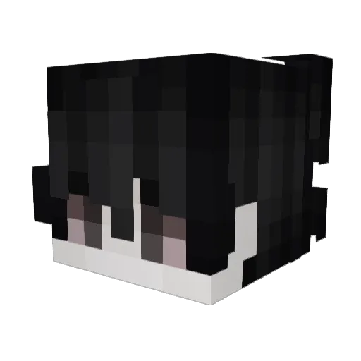 Aqlng Minecraft avatar head, 3D render