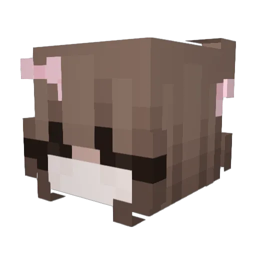 Aqoti Minecraft avatar head, 3D render