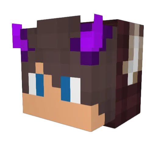 Aqua4533 Minecraft avatar head, 3D render