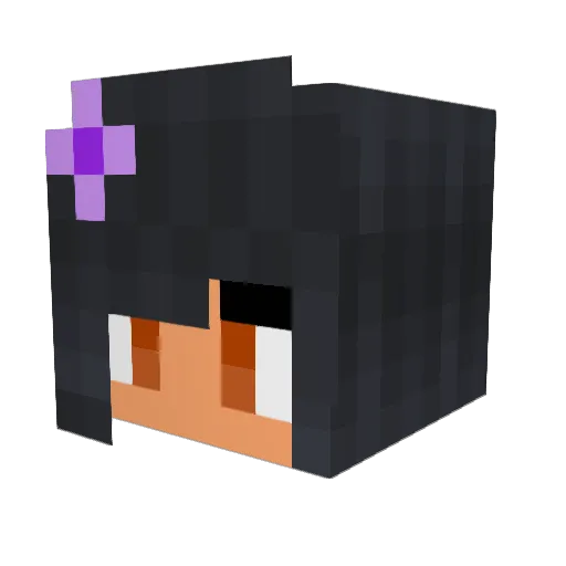 Aqua611 Minecraft avatar head, 3D render
