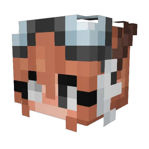 AquaBubbles Minecraft avatar head, 3D render