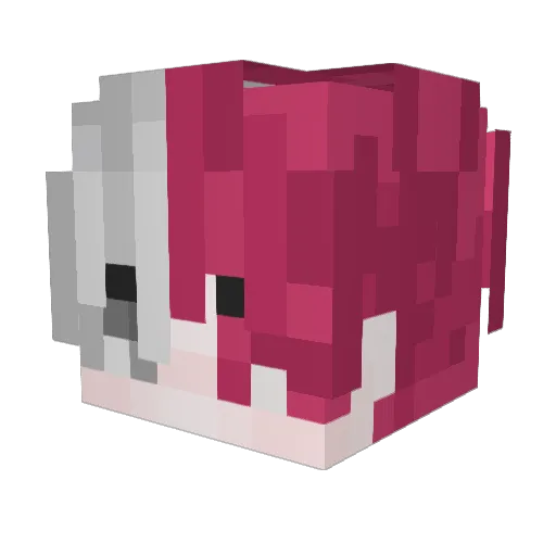 AquaCm_ Minecraft avatar head, 3D render