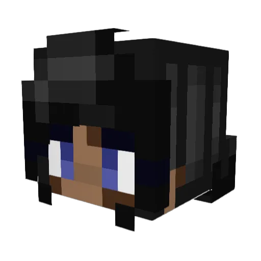 AquaDiamond12 Minecraft avatar head, 3D render