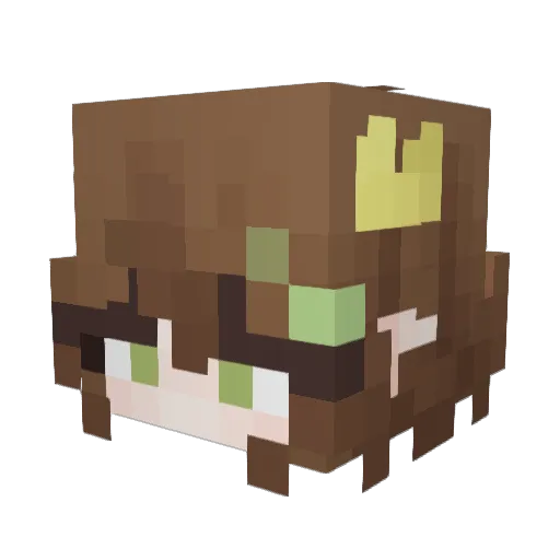 AquaDuckzillions Minecraft avatar head, 3D render