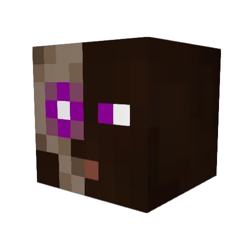 AquaEtrius Minecraft avatar head, 3D render