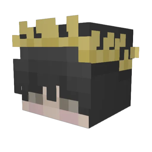 AquaFadeXx Minecraft avatar head, 3D render