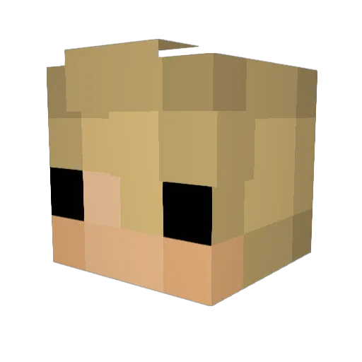 AquaFresh Minecraft avatar head, 3D render