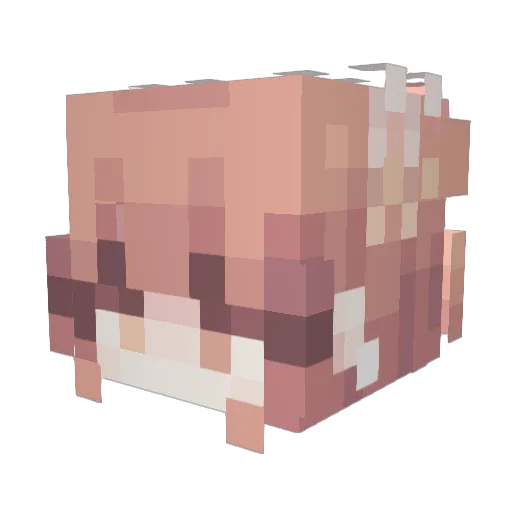 AquaHippo Minecraft avatar head, 3D render
