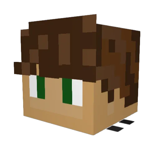 AquaIcy Minecraft avatar head, 3D render
