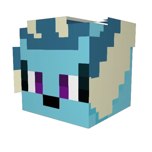 AquaKirby Minecraft avatar head, 3D render
