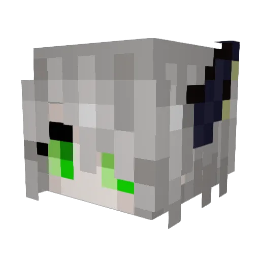 AquaKong Minecraft avatar head, 3D render