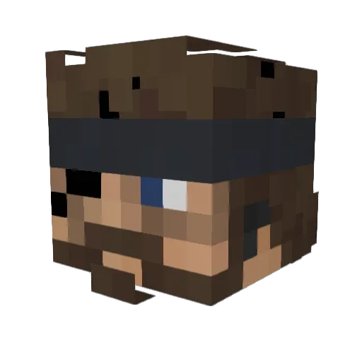 AquaMan544 Minecraft avatar head, 3D render