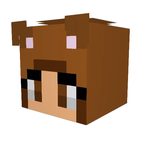 AquaMommu Minecraft avatar head, 3D render