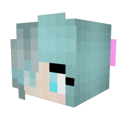 AquaMouse8314 Minecraft avatar head, 3D render