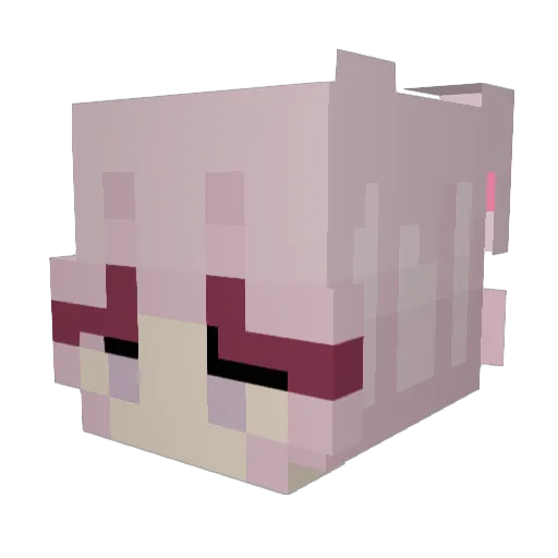 AquaNox_ Minecraft avatar head, 3D render